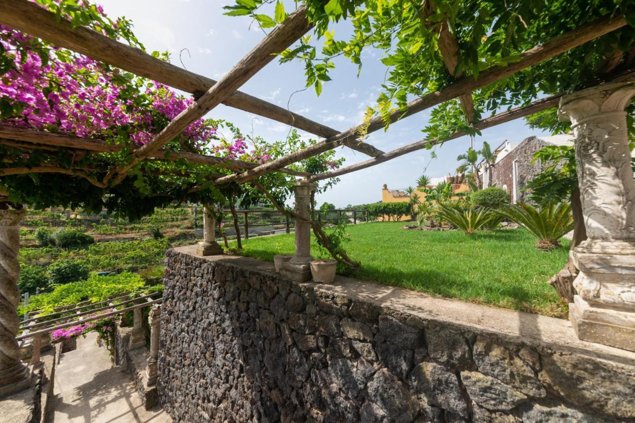Villa Rosalia Barano dʼIschia Eksteriør billede