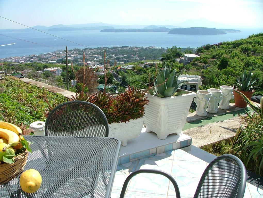 Villa Rosalia Barano dʼIschia Eksteriør billede